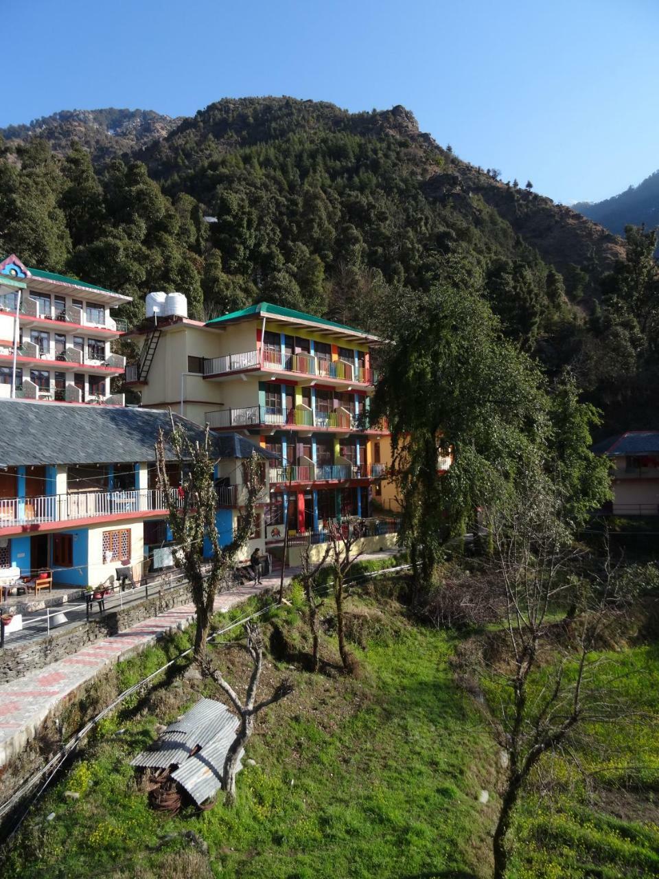 La Vaca India Mcleodganj Vandrarhem McLeod Ganj Exteriör bild